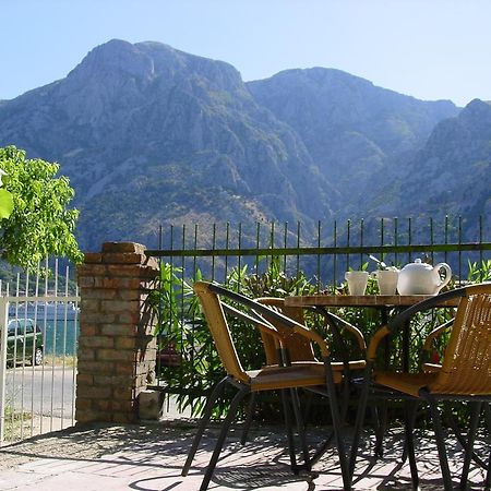 Apartment Mimosa Kotor Cameră foto