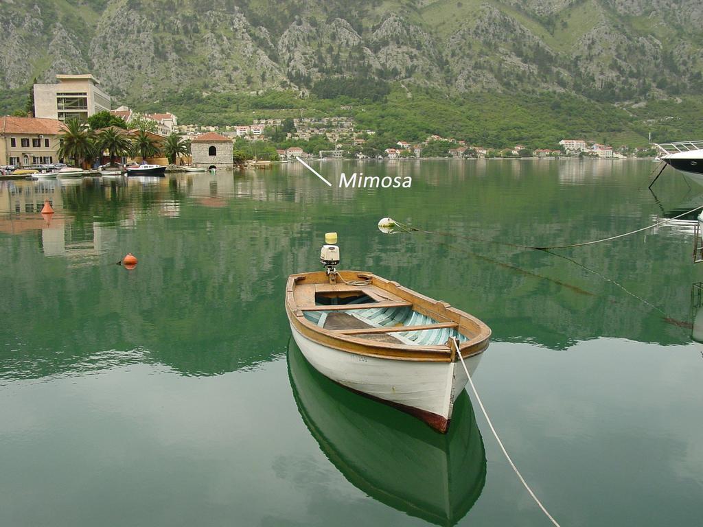 Apartment Mimosa Kotor Cameră foto