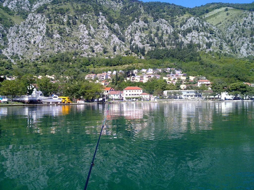 Apartment Mimosa Kotor Cameră foto
