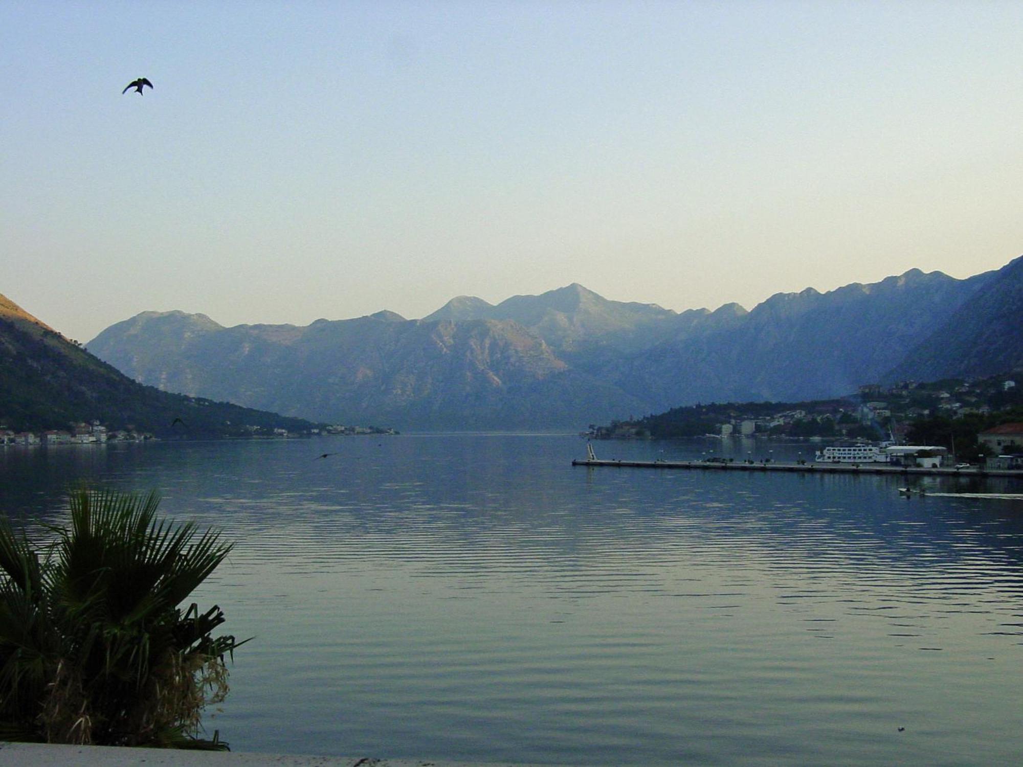 Apartment Mimosa Kotor Exterior foto