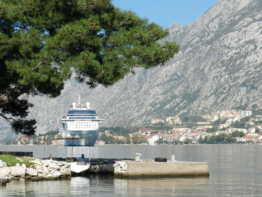 Apartment Mimosa Kotor Cameră foto
