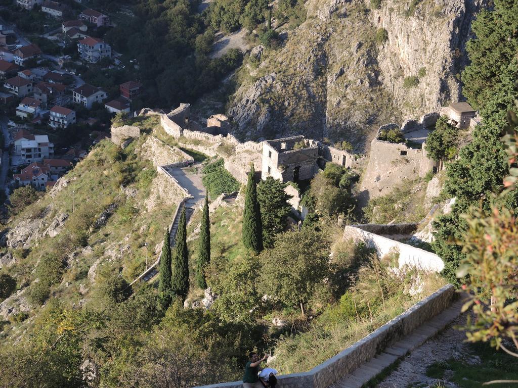 Apartment Mimosa Kotor Cameră foto