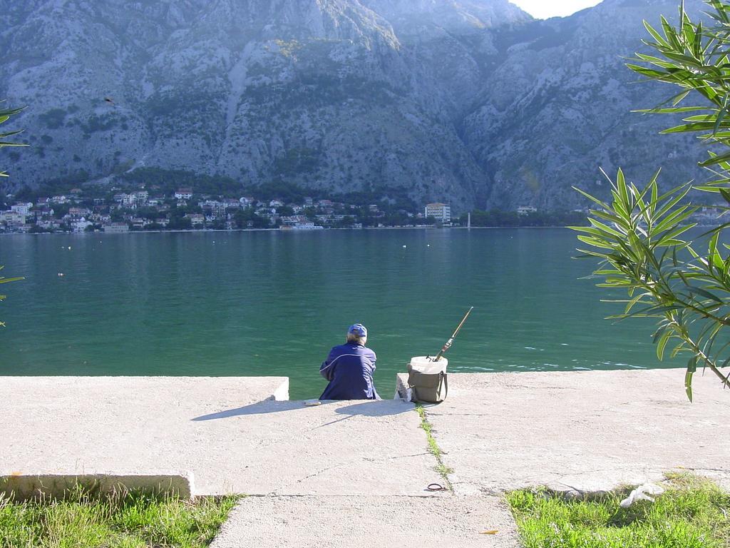 Apartment Mimosa Kotor Cameră foto