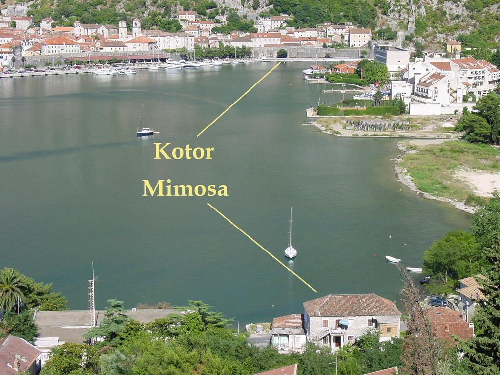 Apartment Mimosa Kotor Cameră foto
