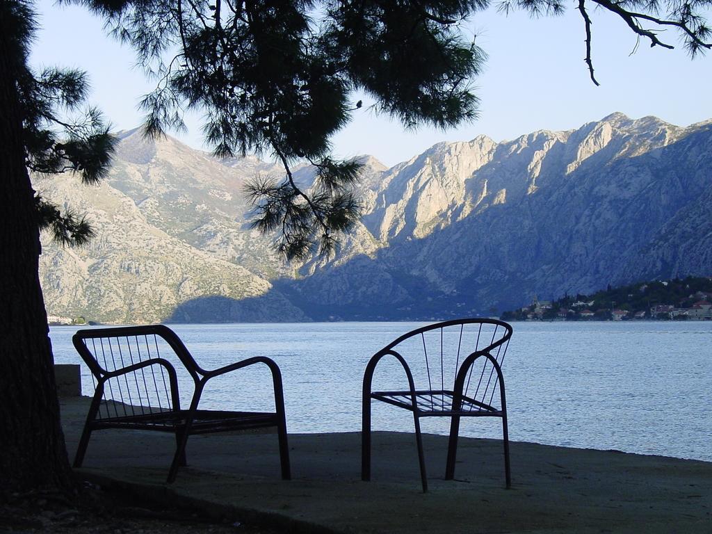 Apartment Mimosa Kotor Cameră foto